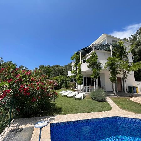 Green Villa In Olives 巴尔 外观 照片