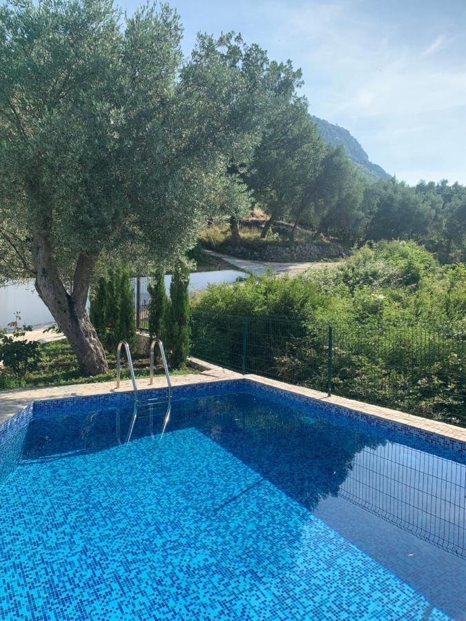 Green Villa In Olives 巴尔 外观 照片