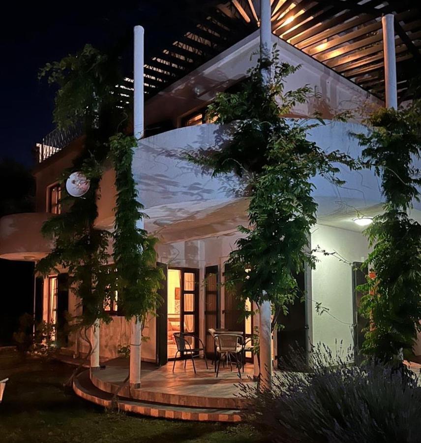 Green Villa In Olives 巴尔 外观 照片