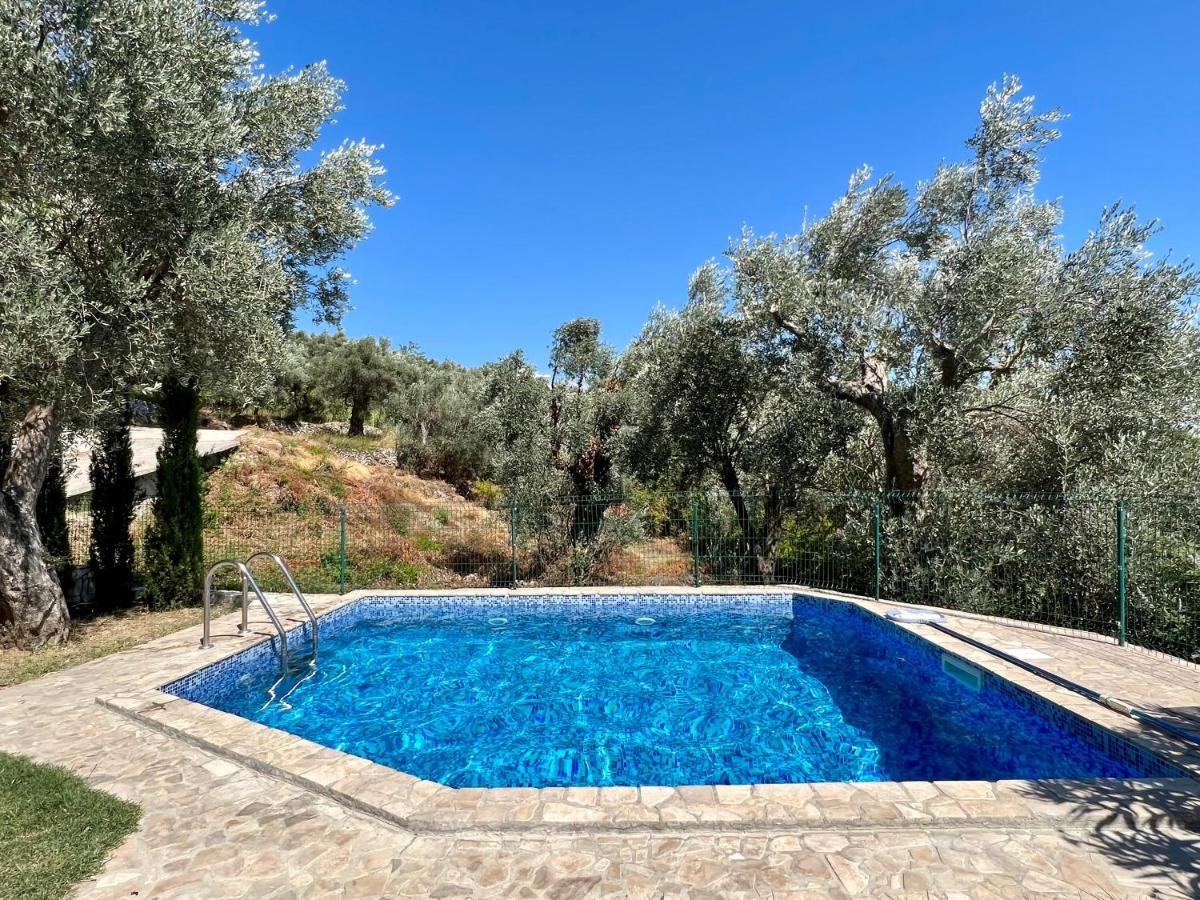 Green Villa In Olives 巴尔 外观 照片