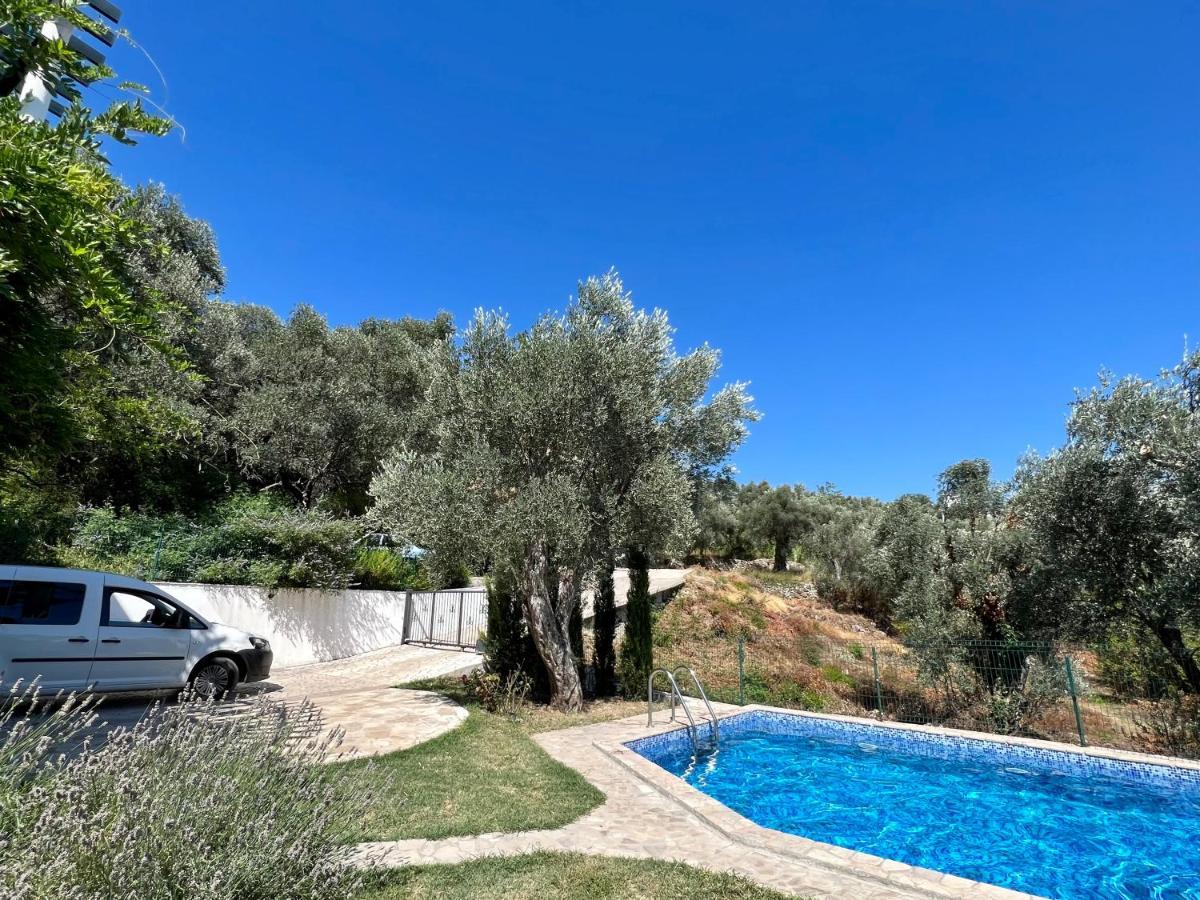 Green Villa In Olives 巴尔 外观 照片