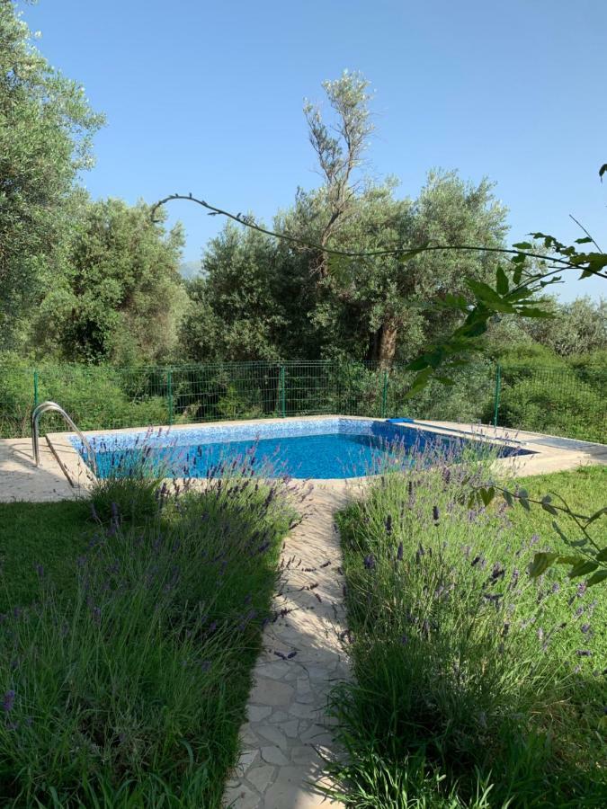 Green Villa In Olives 巴尔 外观 照片